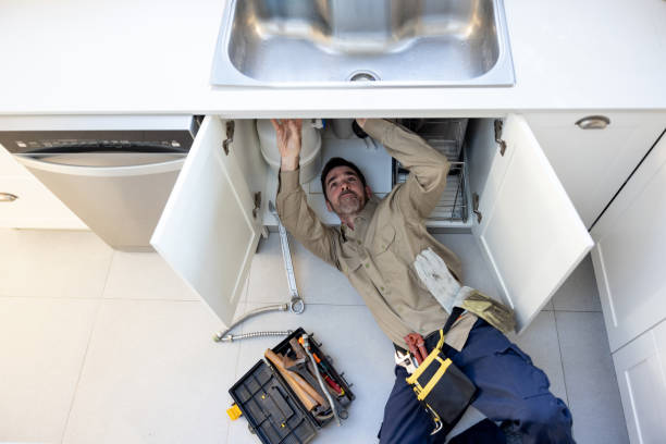 Best Plumbing Services Near Me  in Lake Arbor, MD